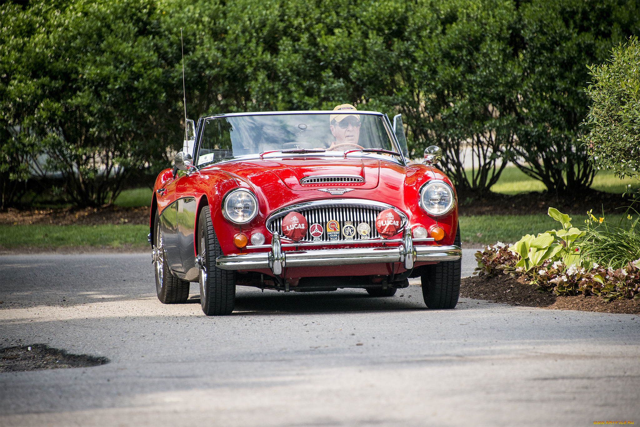 austin healey 1000, , austin, austin-healy, , , 